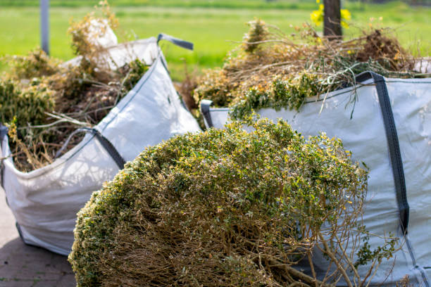 Best Local Junk Hauling  in Southmont, NC